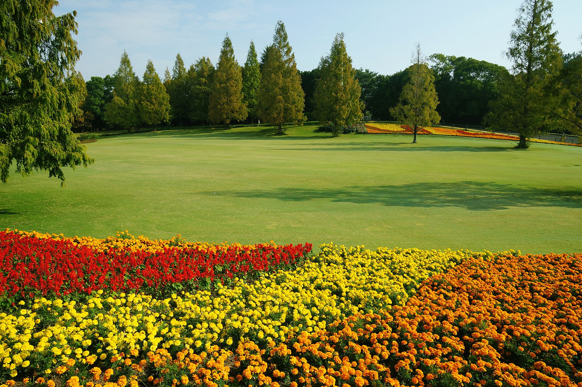 万博記念公園の芝生と色とりどりの花壇