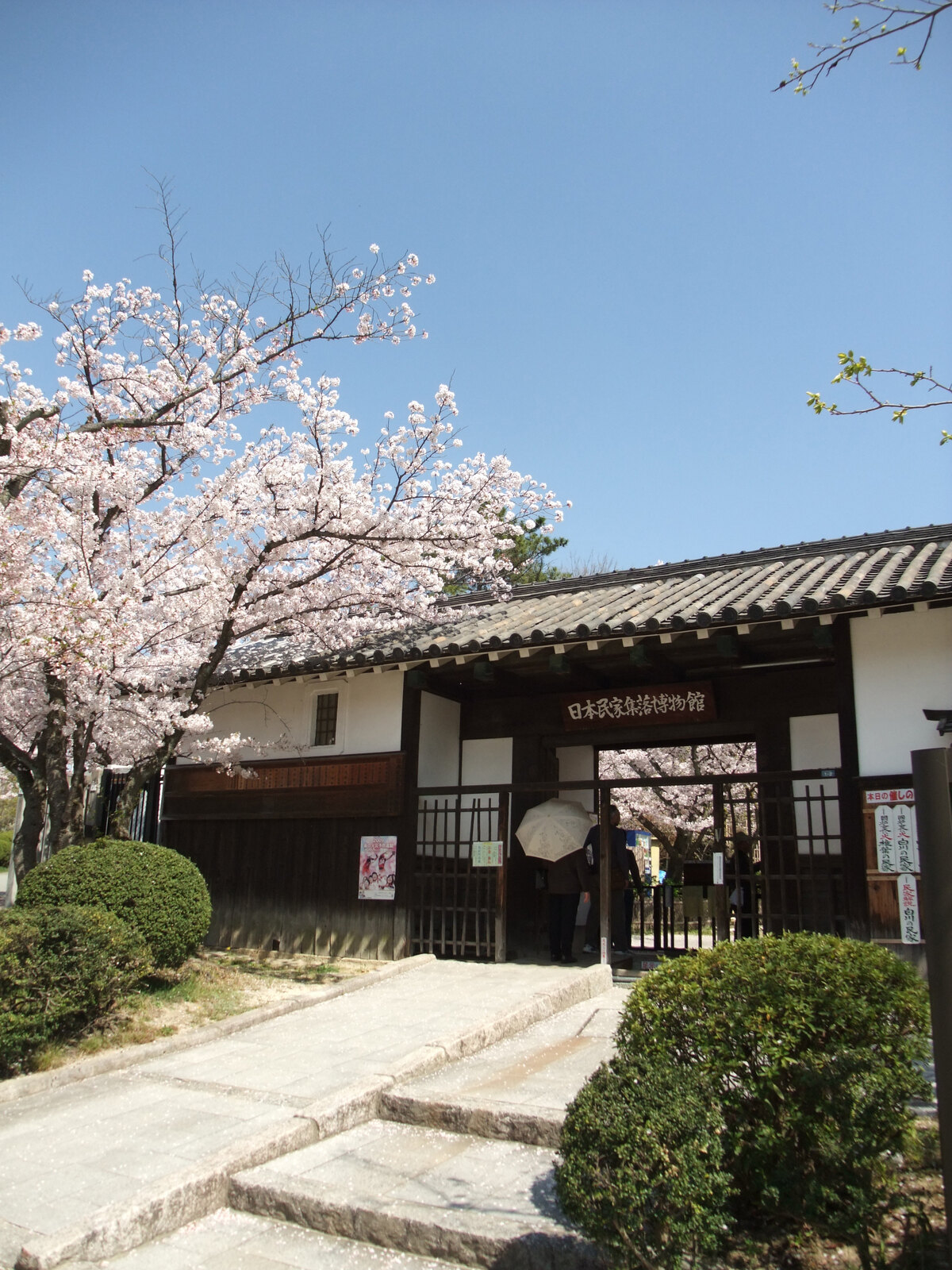 桜が咲く日本民家集落博物館の入口
