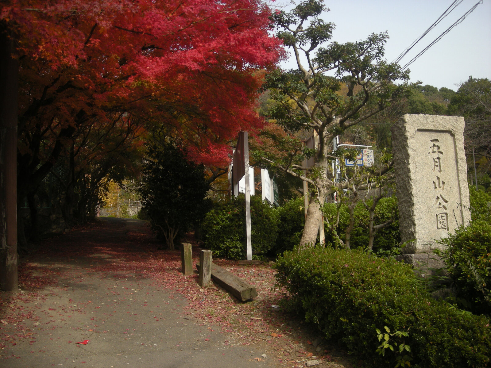 五月山公園の緑と遊具