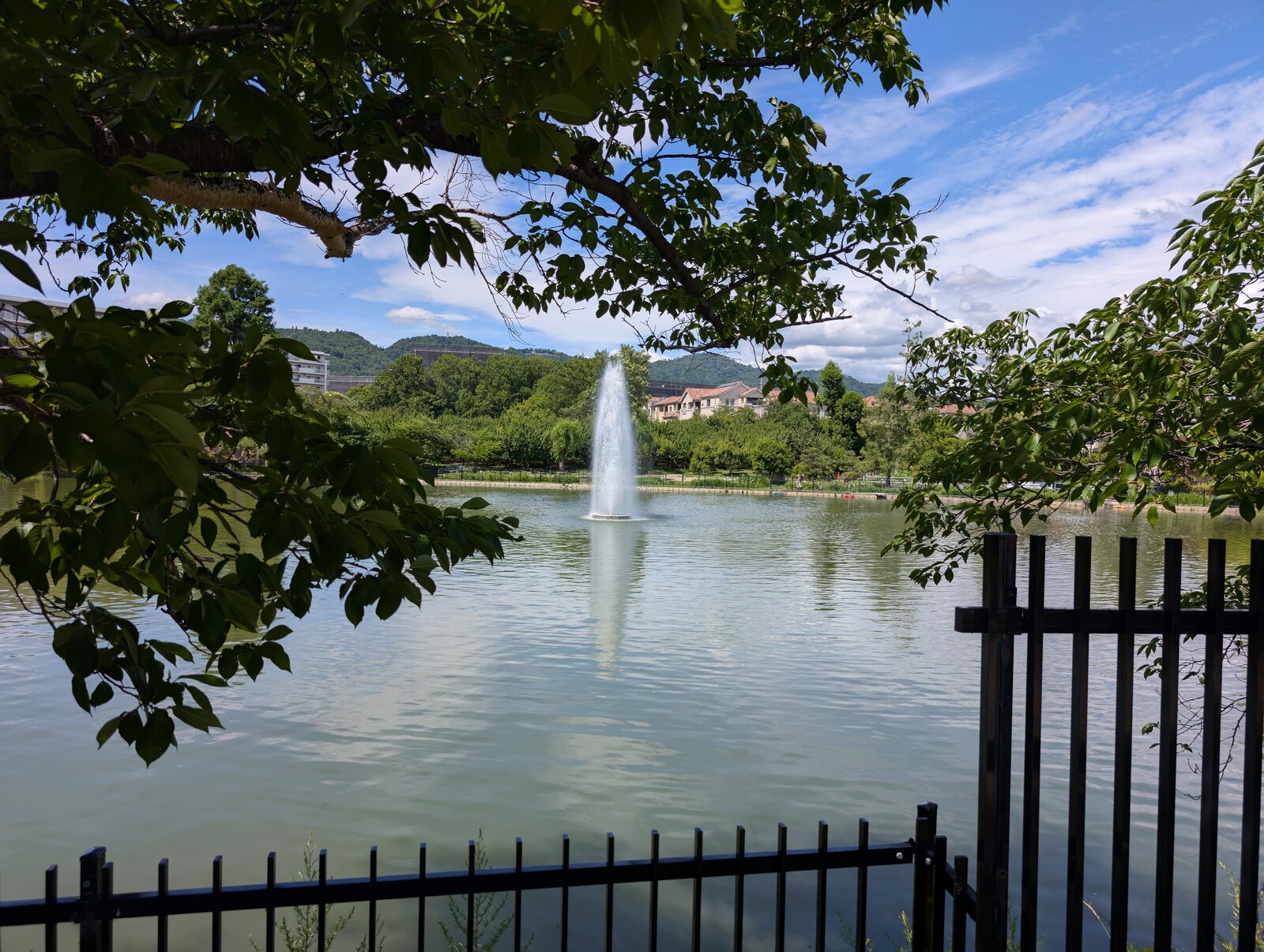 水月公園の池と緑地